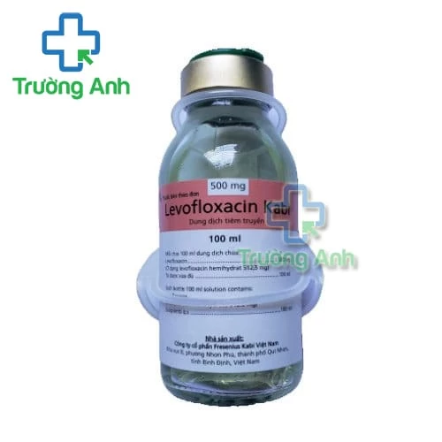 Levofloxacin Bidiphar 500mg/100ml - Thuốc điều trị nhiễm khuẩn